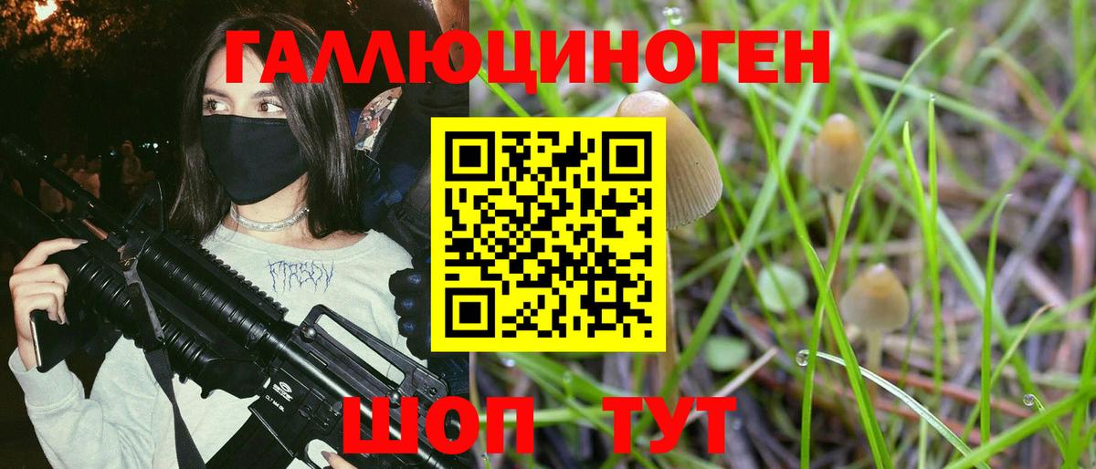 Ступино  Псилоцибиновые грибы MAGIC MUSHROOMS  Вход с VPN  где найти   Псилоцибиновые грибы Magic Shrooms 