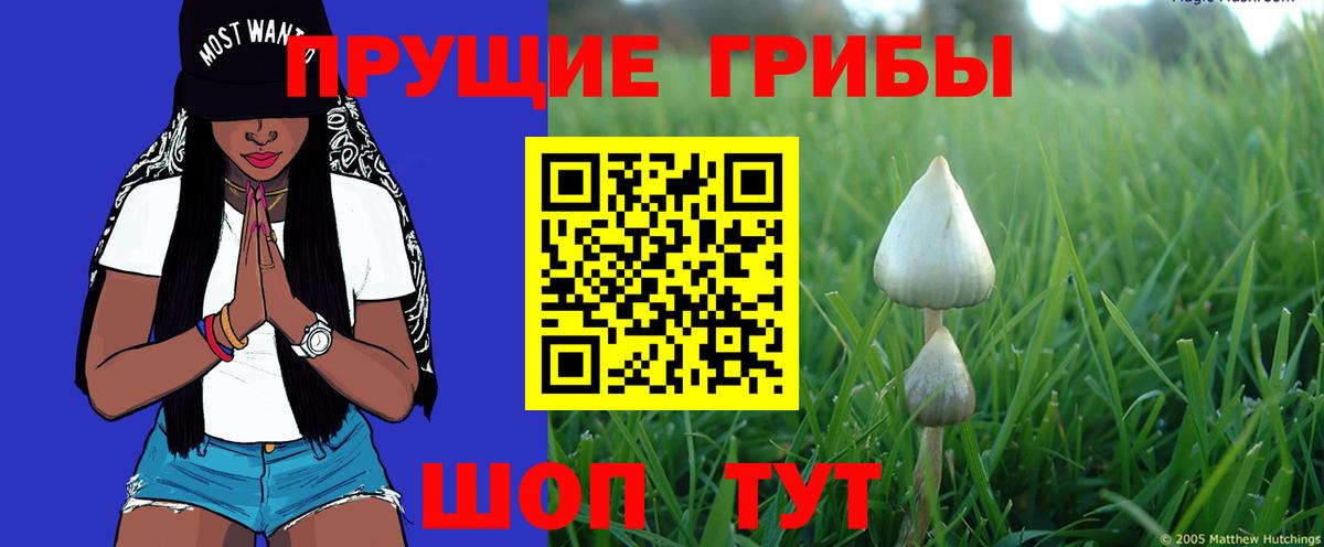Галлюциногенные грибы мицелий Ступино