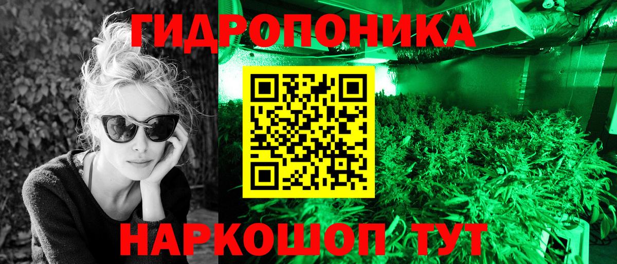 Марихуана OG Kush Ступино